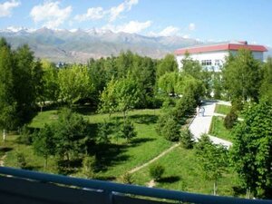 Тулпар Срубы